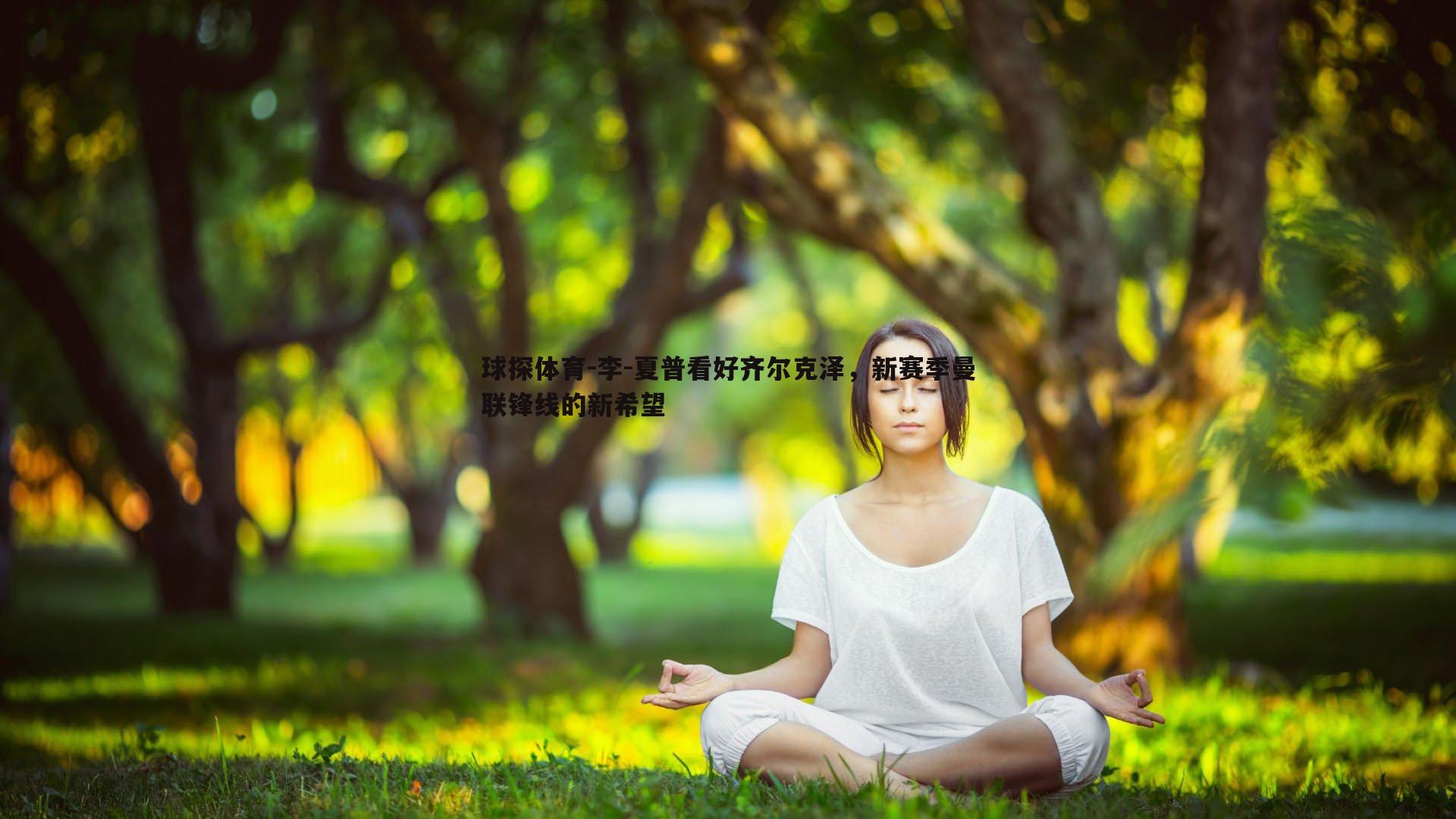李-夏普看好齐尔克泽，新赛季曼联锋线的新希望