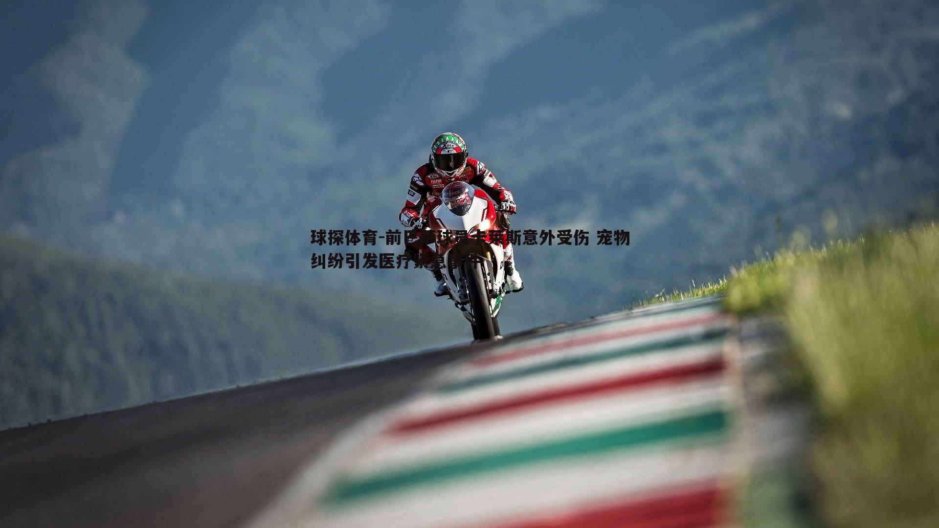 前巴萨球员卡莱斯意外受伤 宠物纠纷引发医疗紧急事件